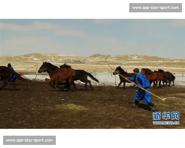 马背天骄：锡林郭勒草原驯马人的传奇与传承
