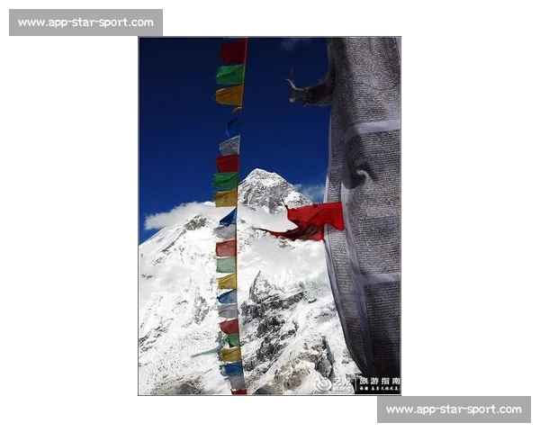 明星徒步同款！登山杖正确使用技巧全解析